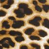 #swatch_NEUTRAL CHEETAH