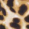 #swatch_NEUTRAL CHEETAH