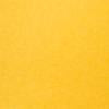 #swatch_TULIP YELLOW