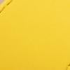 #swatch_TULIP YELLOW